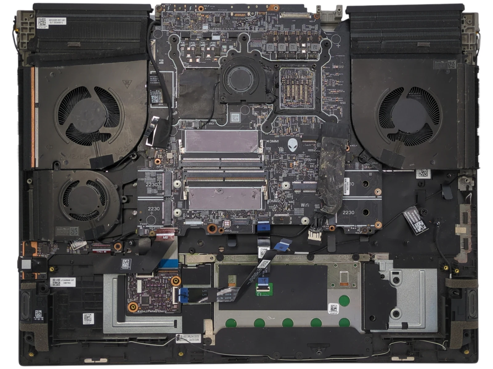 Wnętrze laptopa gamingowego Alienware M18 R1 z płytą główną, pamięcią RAM, gniazdami SSD M.2 i układem chłodzenia